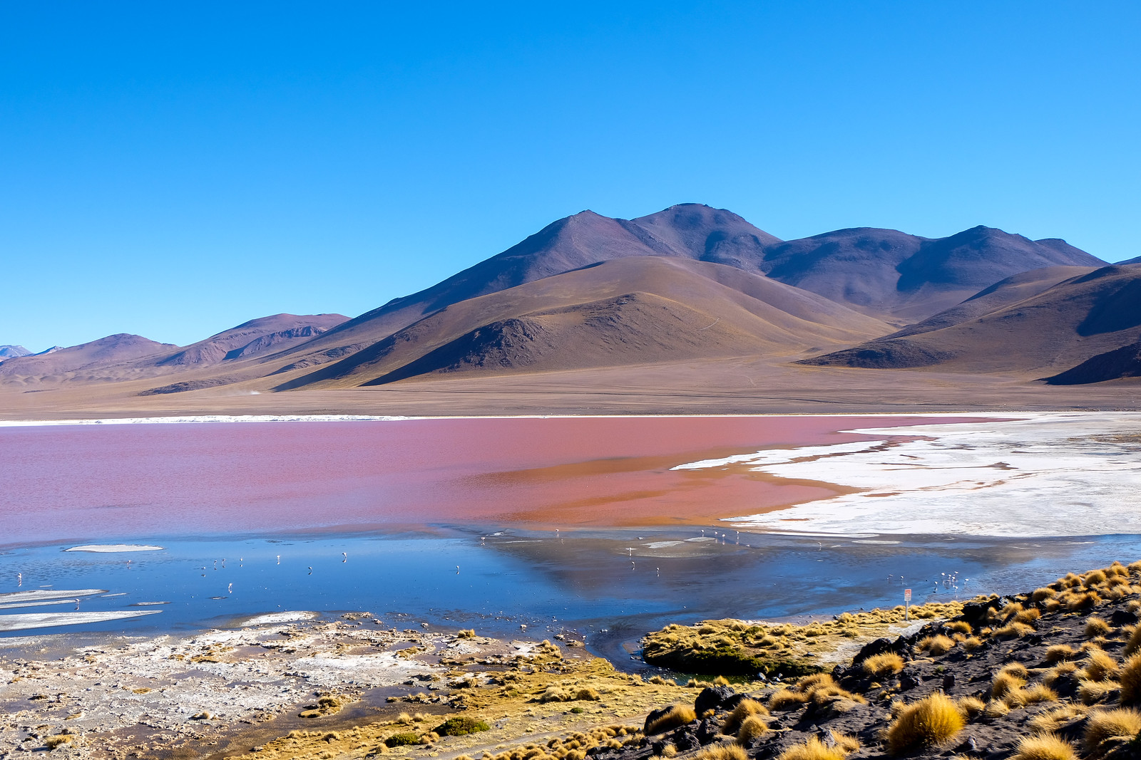 Laguna Colorada, Bolivia