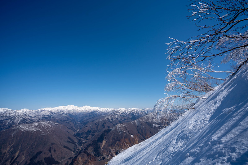 荒島岳から白山連峰