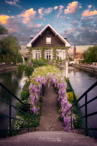wisteria house narrow cityscape sunset flowers rivers clouds cathedral fuji xt2 strasbourg city