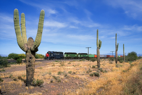 southernpacific sp sunsetroute wymola arizona intermodaltrain cottonbelt emd gp60 9693 bn sd402 cactus saguaro train railroad locomotive az