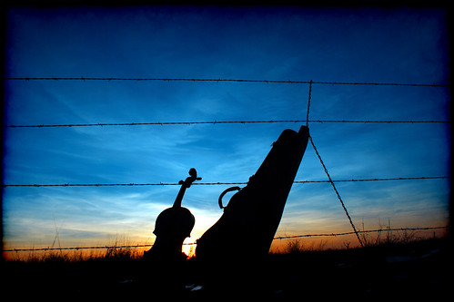 sunsetsirenade sunset nature groovyal flickr violin music sirenade case horizon fence ranch texas sun sky clouds puppies