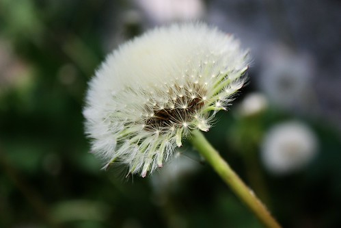 Pics of nature | by jlynnh78
