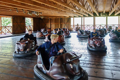 Photo 1 of 1 in the Buffalo Bumper Cars gallery