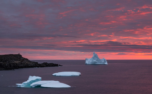 sunrise icebergs gratescove newfoundland