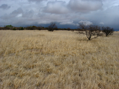 S.R. 82 Between Patagonia and Sonoita, Arizona (4) by Ken Lund, State Route 82 (SR 82) is an east-west state highway in southern Arizona.

The western terminus of S