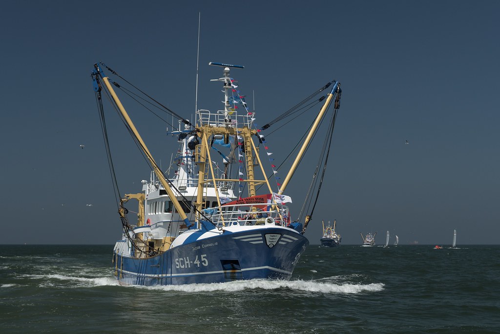 Vlaggetjesdag in Scheveningen, Netherlands