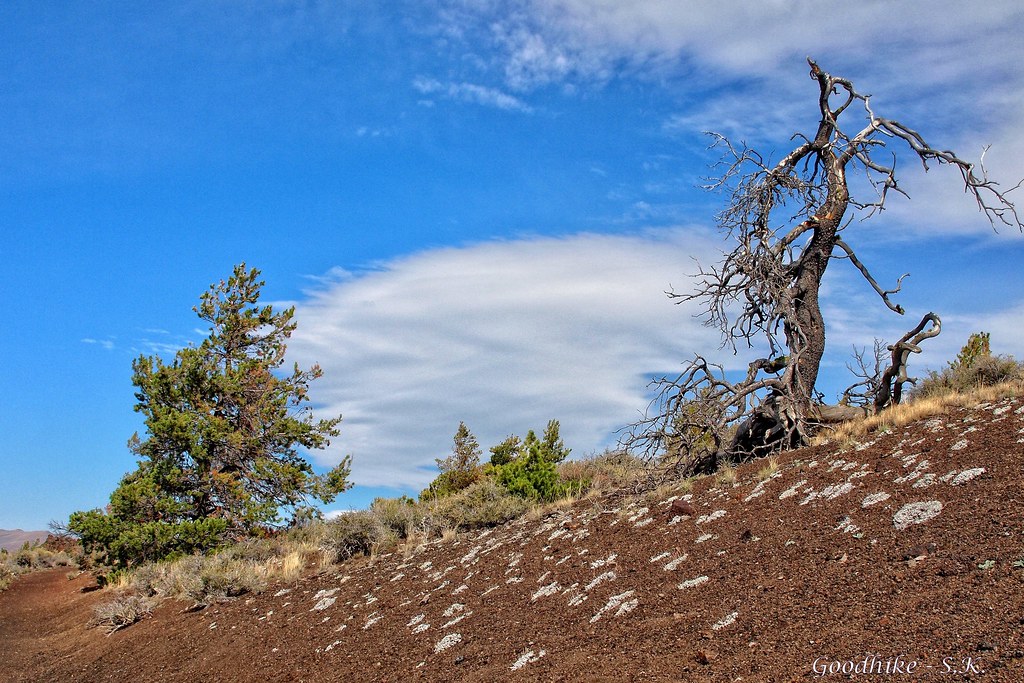 Dead and Alive, Craters of the Moon National Monument and Preserve in Idaho