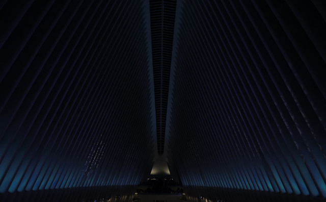 Shadowplay (blue) - World Trade Center, New York City