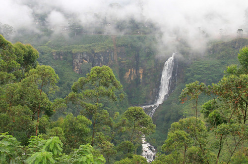 asia srilanka centralprovince waterfall cascade falls water fall green fog cloudy mist view beautiful tea
