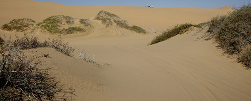 file_3888x1569_078286 | by mikeculley591