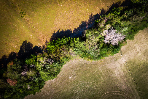 aerial color colour dfw dfwmetroplex dji djiphantom3 dallasfortworth drone erwinpark landscape landscapes mckinney metroplex nature naturephotography northtexas texas trees usa unitedstates fav25 fav50 fav75 fav100 fav125 scenery