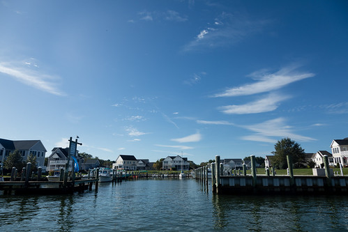 Rod and Reef Slam at Harris Creek in Talbot County, Md. | by chesbayprogram