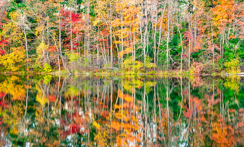 fall lake landscape reflection trees southborough ma unitedstates