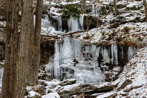 Frozen In Time by EJP Photo, winter snow color ice nature beautiful weather forest landscape photography frozen photo woods seaso