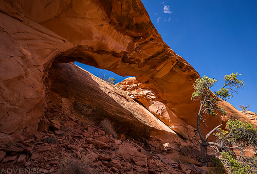 Canyon Arch | by IntrepidXJ