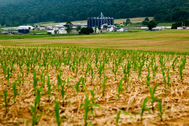 Schrack Dairy Farm in Clinton County, Pa.