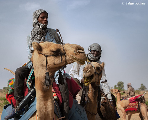 Fulani Camel Riders by Irene Becker