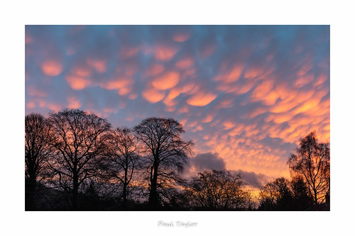 nidderdale mammatus cloud dawn silhouette trees northyorkshire bewerley eos5ds canon2470f28lii