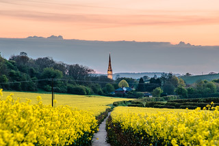 Salisbury Cathedral in spring from the Clarendon Estate