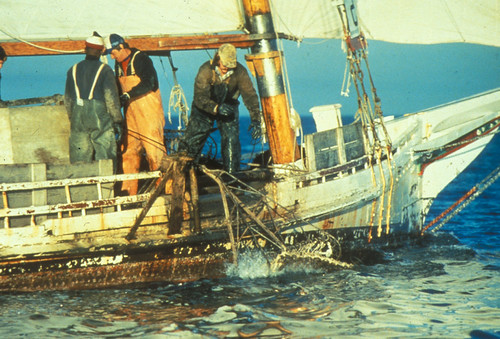 Watermen | by chesbayprogram