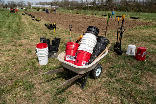 Tree planting at Wardensville Garden Market in Wardensville, W.Va. | by chesbayprogram