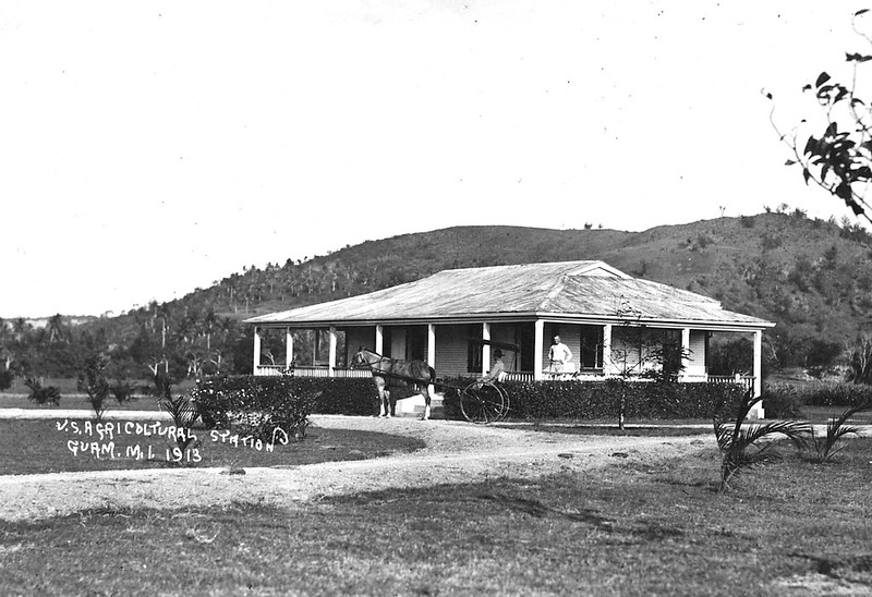 The U.S. Agricultural Station was established in Guam in 1909. Today a mohogany forest behind the Catholic Church in Piti is the only remnant of the station.

Baltazar Aguon