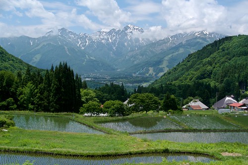 landscape mountain paddy 白馬村 長野県 japan lake hakuba nagano