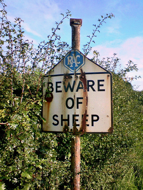 Beware of Sheep.