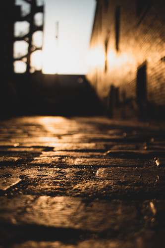 Golden Brick Road by LyraKat, Setting sunlight can turn any brick road in Wichita yellow...or gold rather.goldenhour wichita sunse