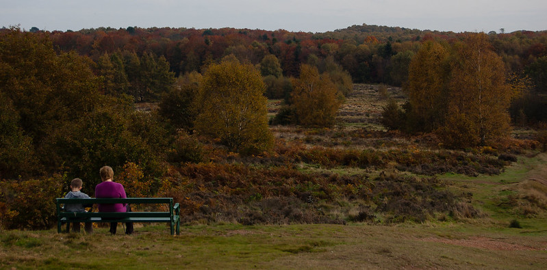 Autumn scene