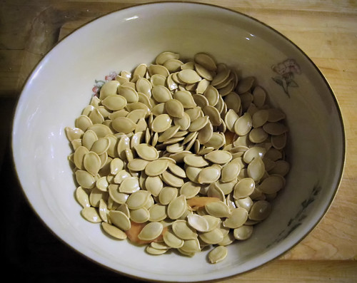 Pumpkin seeds (1)