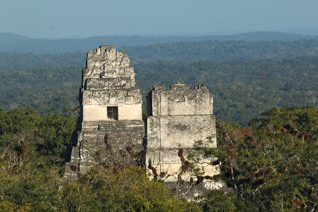 Twin Pyramids Of Tikal