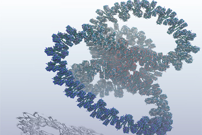 largest simulation to date of an entire gene of DNA