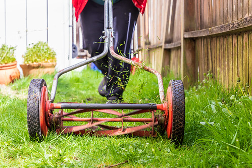 Person Mowing Grass With Hand Powered Lawn Mower