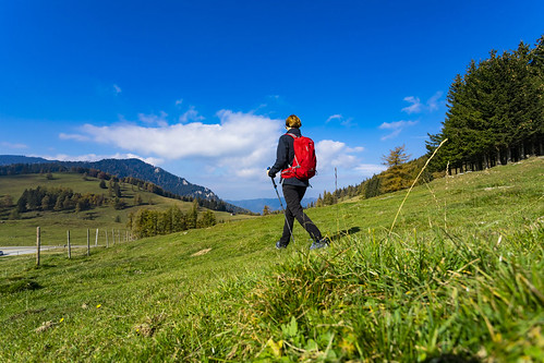 naturpark almenland teichwirt teichalm teichalmsee hotel urlaub steiermark wanderurlaub wellnessurlaub wellness wandern