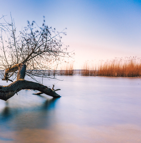 Südspitze Gnitz by thteubert, gnitz naturfotografie deutschland landscape inselusedom ereignisse aufnahmejahr motiv naturfoto lang