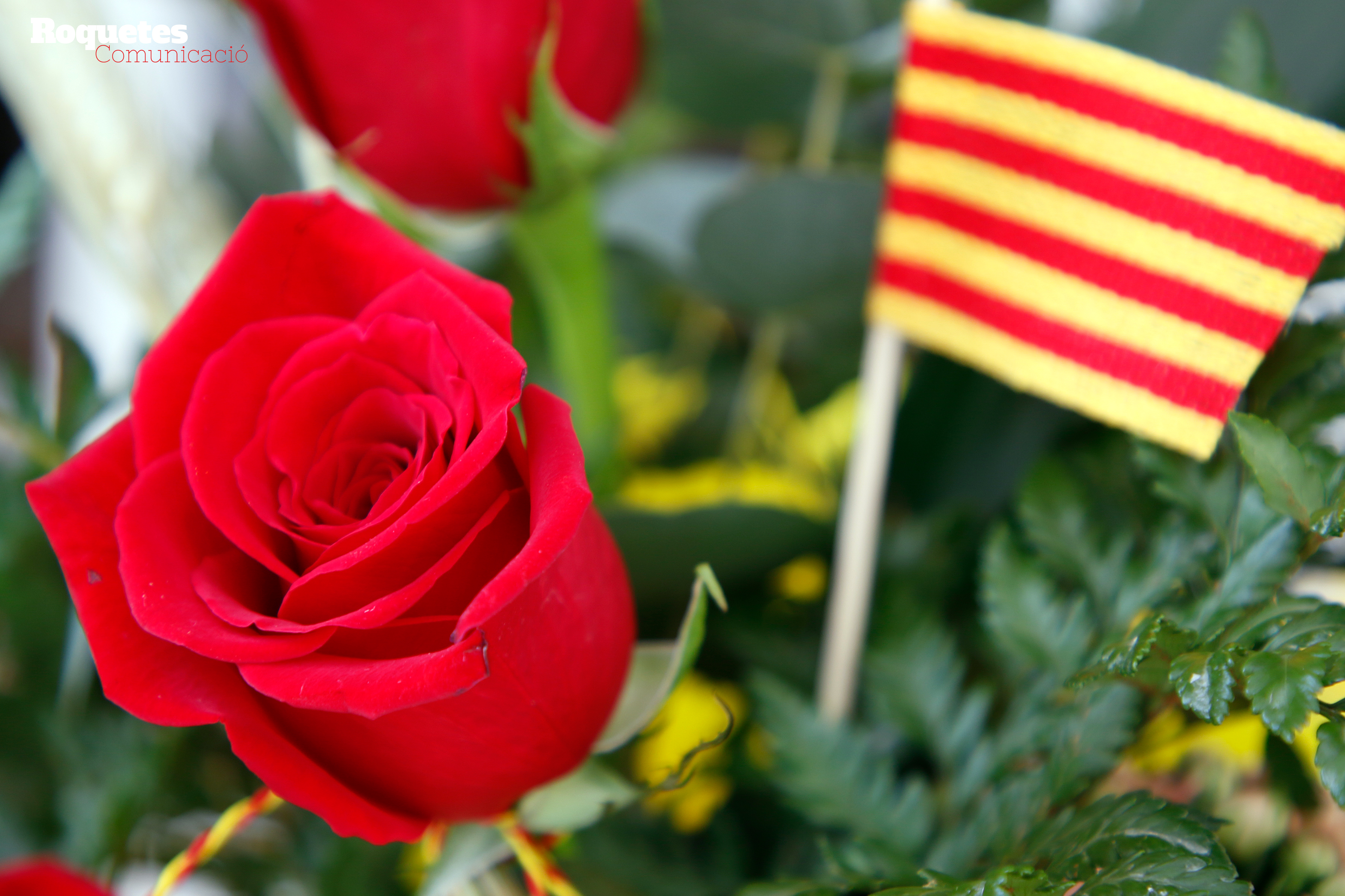 Roquetes Comunicació Festa de Sant Jordi a Roquetes. 23 d’abril de 2019