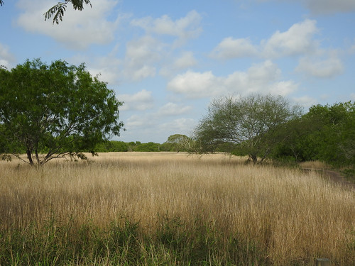 texas resacadelapalmaspwbcbrownsville pamhawkes landscape