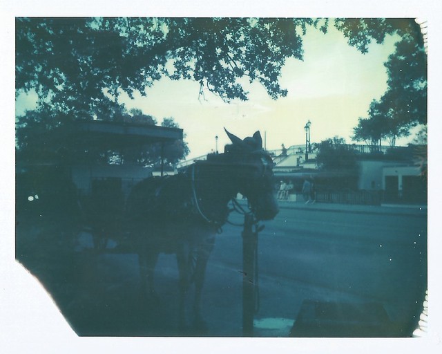 Polaroid Week Day Six - French Quarter Mule Tour