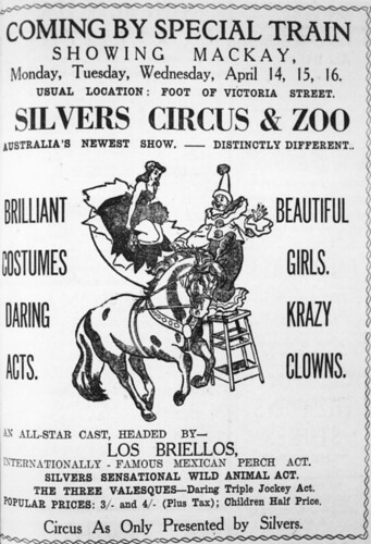 queensland statelibraryofqueensland circus silverscircus advertising newspapers clowns trickhorseriding