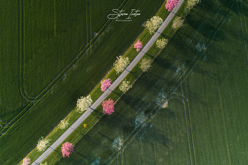 cherryblossom sakura spring northyorkshire landscapes landscape landscapephotographer drone dronephotography