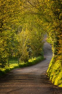 The Old Road to Kinsale