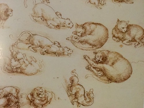 Leonardo da Vinci. Detail of animal studies