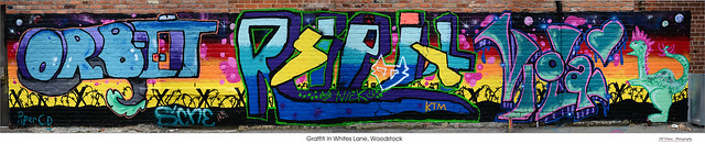 Graffiti In White’s Lane, Woodstock