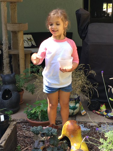 Backyard Chores | by rudyg39