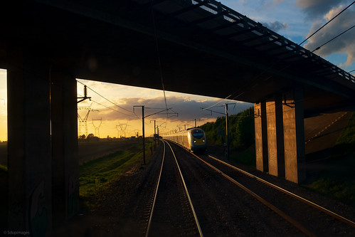 light sunset goldenhour lumière bridge pont pov perspective voieferrée railroad tgv lgv ln3 e320 eurostar train