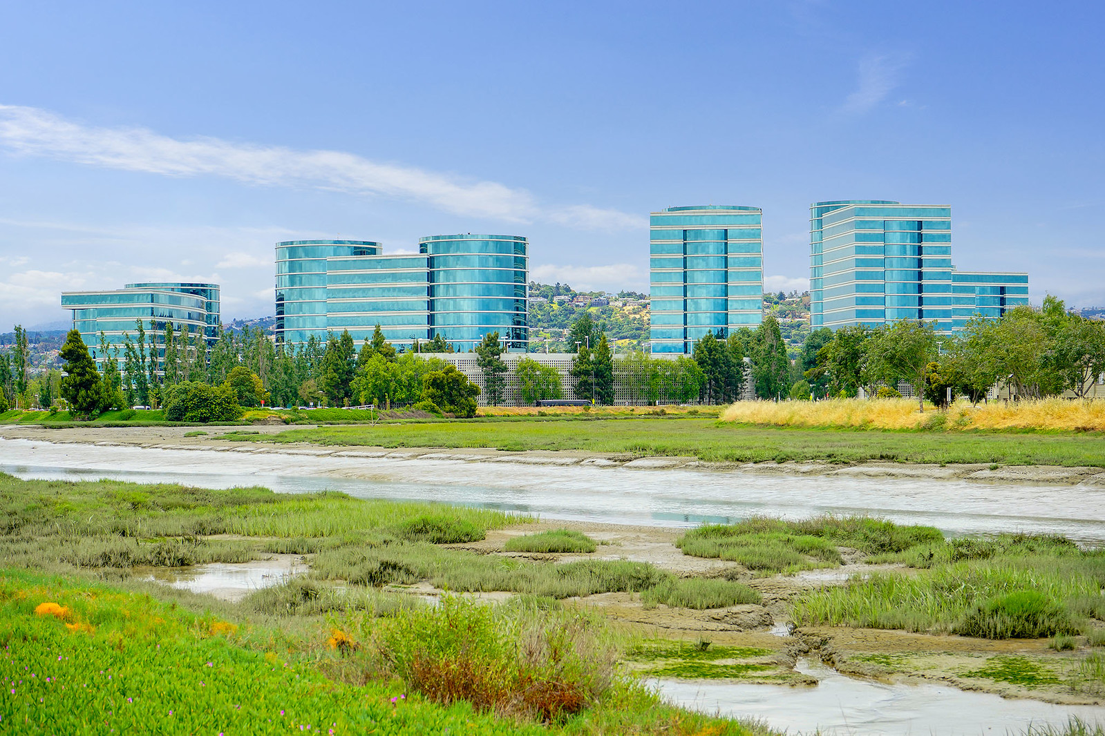Cover Image for 569 Anchor Circle, Redwood Shores presented by Caroline Dinsmore