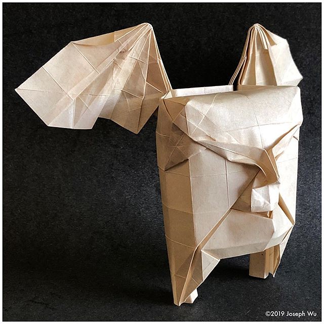Study: “Tooth Fairy” #artist #artistsoninstagram #origami #origamiart #josephwuorigami #josephwu #paperart #paperartist #paperartistcollective
