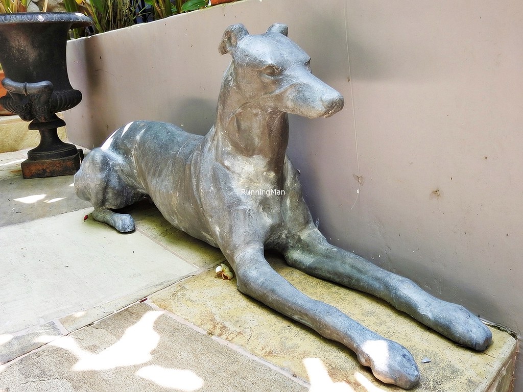 Sculpture Dog Greyhound