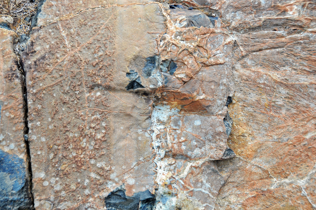 Metakomatiite lava flows (Upper Komatiitic Unit, Kidd-Munro Assemblage, Neoarchean, 2.711-2.719 Ga; Pyke Hill, near the Potter Mine, east of Timmins, Ontario, Canada) 3